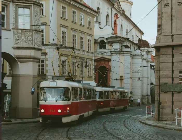 Ce vehicule poți conduce cu permisul auto categoria D, D1, Tb și Tv?